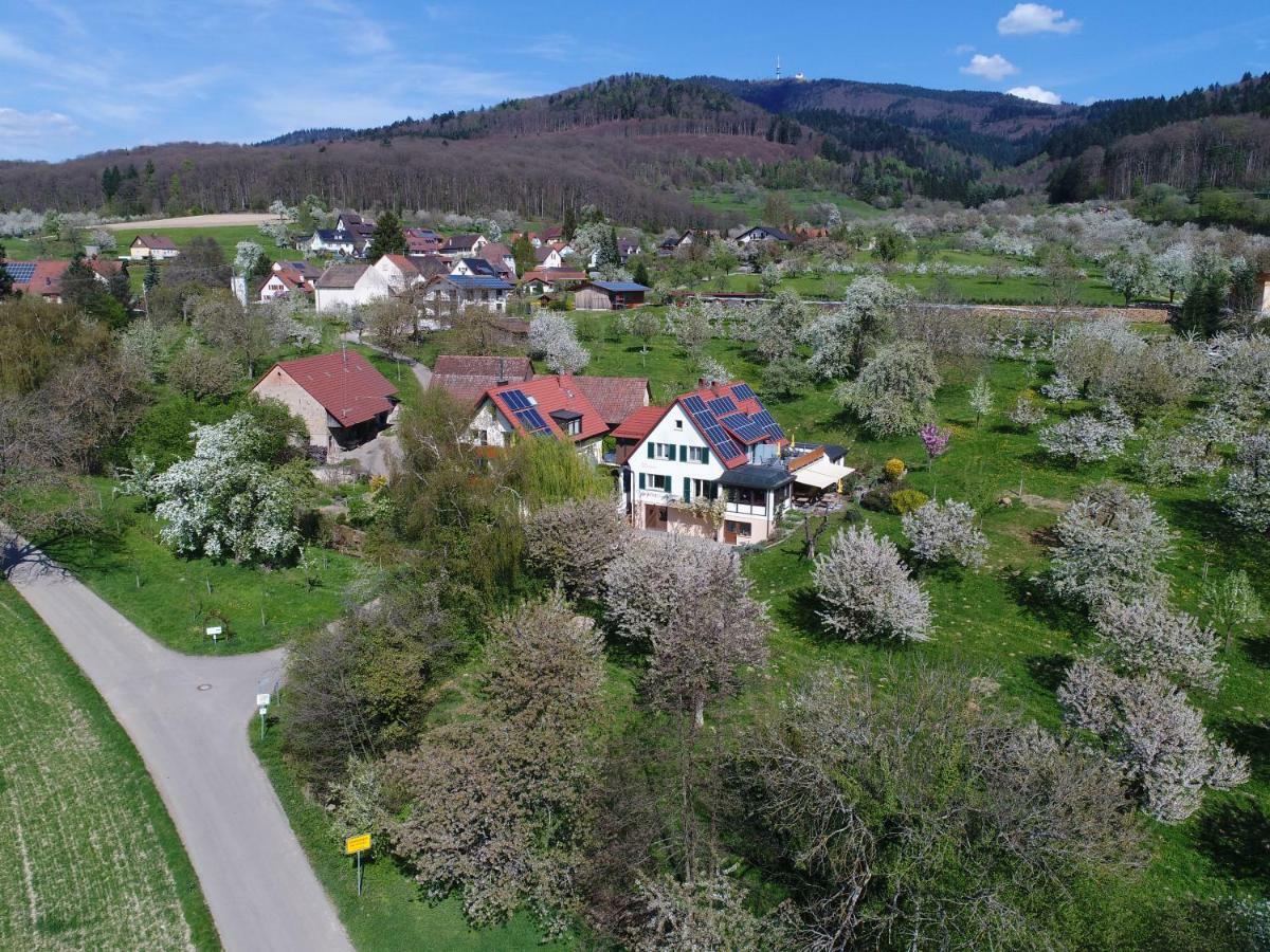 Haus Am Blauenbach Daire Schliengen Dış mekan fotoğraf